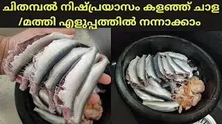 മത്തിയുടെ ചിതമ്പൽ വളരെ എളുപ്പത്തിൽ കളയാൻ ഇനി scrubber വേണ്ടേ വേണ്ട / How to Clean Chala very Fast