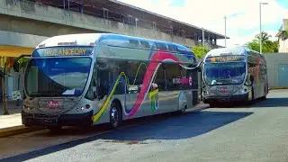 Metro Urbano (San Juan, Puerto Rico) 𝑩𝒖𝒔 𝑹𝒂𝒑𝒊𝒅 𝑻𝒓𝒂𝒏𝒔𝒊𝒕 - Bayamón to Toa Baja | 𝑭𝒖𝒍𝒍 𝑹𝒊𝒅𝒆