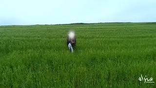 أوبريت سنراه | ولادة الإمام المهدي (عج)