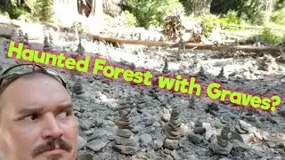 🌲Ancient Forest🌲 Ross Creek Cedars - Troy, Montana - Rock Stacking