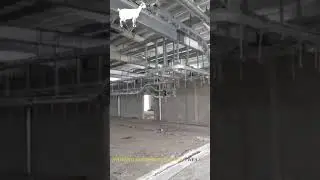 Full sheep slaughter line Solution by WFA abattoir Factory