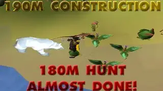 RuneScape 3 - Progress To 200M All Stats - These Gainz