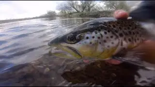 Fly Fishing River Dove April 2021