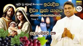 The Feast of the Holy Family | Sinhala Sunday Mass December 29th | The Catholic View