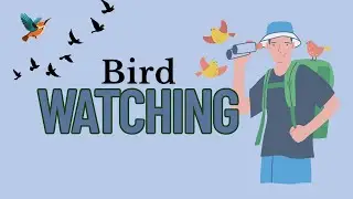 Birdwatching for Beginners - Roger's Tips, Tricks & Advice to Observe the Most Beautiful Birds