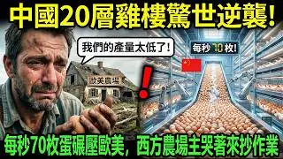 土地省6倍！中國十二層雞樓驚世逆襲，全球畜牧業都來偷師