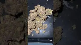 pica puff za