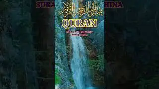 Quran#short #ytshort #shortsfeed #shortvideo #viralvideo #trendingshorts #shortsvideo