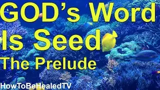 GOD's Word Is Seed - Prelude:  Faith Scriptures - Seed Time Harvest - Mark 4, Luke 8, Matthew 13