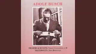 Violin Concerto in D Major, Op. 77: I. Allegro non troppo