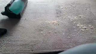 Dry carpet cleaning, limpieza de alfombras en seco envirodri Chile