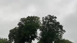 Very Close +CG Thunder Rumble - The Only Lightning That Sounds Like TNT