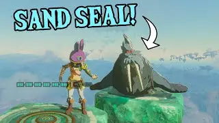Bringing A SAND SEAL To The SKY! | Zelda: Tears of The Kingdom