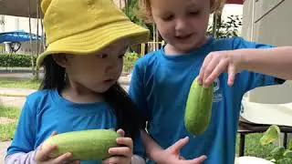 Edible Garden by Nexus Early Years Learners