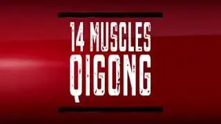 Touch for Health 14 Muscles Qigong