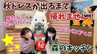 【シルバニアファミリー】森のキッチンで秋ドレス出るまで帰れません！【vlog#71】