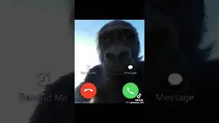 мемы приколы, постирония
