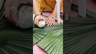DIY Dried Palm Leaves #shorts #diy  #homedecor