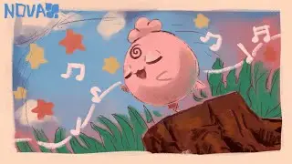 Showcase de Igglybuff (la que te duerme, literal) - Pokémon Masters EX