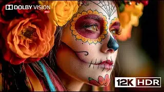 True Depth of 12K Ultra HD | Dolby Vision Pro HDR Showcase
