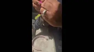 Unboxing new dog collar from Amazon