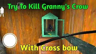Try To Kill Granny's Crow With Crossbow [Mission Failed]