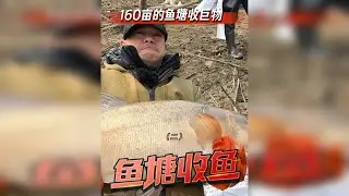 鱼塘惊现“淡水老虎”水下森林究竟藏着什么秘密