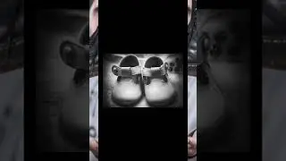 Zapatak-Calzado