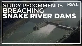 Study finds breaching Snake River dams would help fish recovery