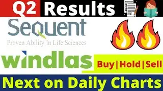 Sequent scientific q2 results, sequent scientific share latest news, windlas biotech share news