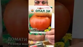 #seminte1 #seminterosii #rosiigigant #tomato #bio #soi #rozovamaghia #gradina #agricultura #legume