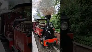 Steam Railway  | Statfold Barn Railway | 9th June 2024 #steamrailway