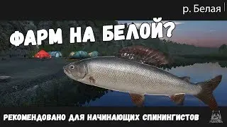 ХАРИУС ЕВРОПЕЙСКИЙ • ФАРМ СЕРЕБРА • РУССКАЯ РЫБАЛКА • РР4