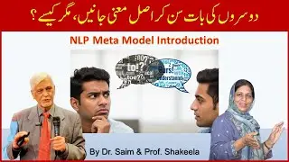 Meta Model NLP| Intro Meta Model  NLP Techniques| Motivation|| Urdu| Hindi