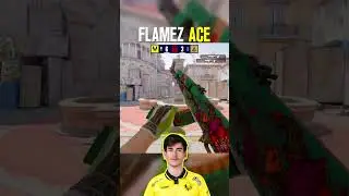 flameZ Insane ACE🔥 Is Vitality Taking Another Trophy HOME?! 🏆