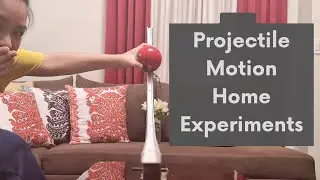 Projectile Motion l Experiments and Examples