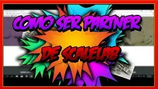 como ser partner de scalelab