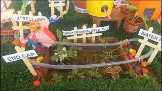 Solar drip irrigation working model #scienceproject/workingmodel #dripirrigationsystem #sciencemodel