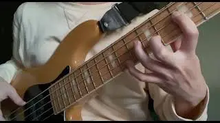 Havona - Weather Report (Jaco Pastorius Solo)