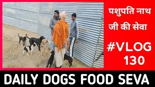 Daily Dogs Food Seva 🐶❤️ | Vlog 130/365 | Milk Bread Feed Seva for Stray Dogs #dailyvlog #straydogs 