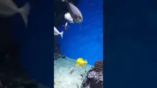 20190314 174149