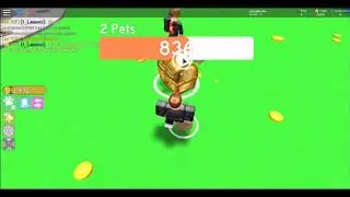 Opening big treasure chest in ROBLOX pet simulator (I GOT 2,436 COINS)