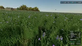 FS 22 Court Farm 49 (Seasons, Precision Farming) Alfalfa Harvest (Music)