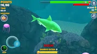 3 Gemfish! - Hungry Shark