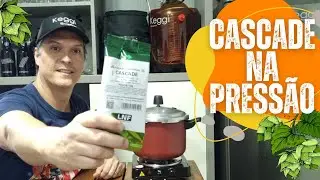 Cascade Na Press&atilde;o adi&ccedil;&atilde;o de amargor depois de pronta a cerveja
