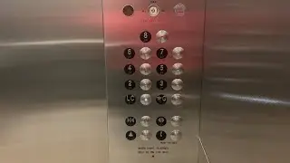 ThyssenKrupp Elevators (C1-C3) at MaRS Discovery District in Toronto ON