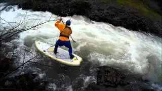 Gales Creek SUP
