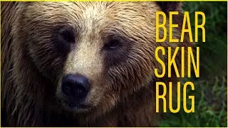 Bear Skin Rug (Prod. LethalNeedle) - Honey Hancock