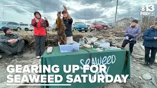 Gearing up for Seaweed Saturday, Maine Seaweed Week starts Friday