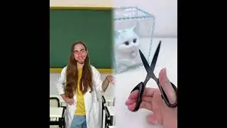 🤣👌👌👌2025 pov Must-Watch Crazy Clips Compilation #humor #fypシ #pov #fyp #foryou 😍😜